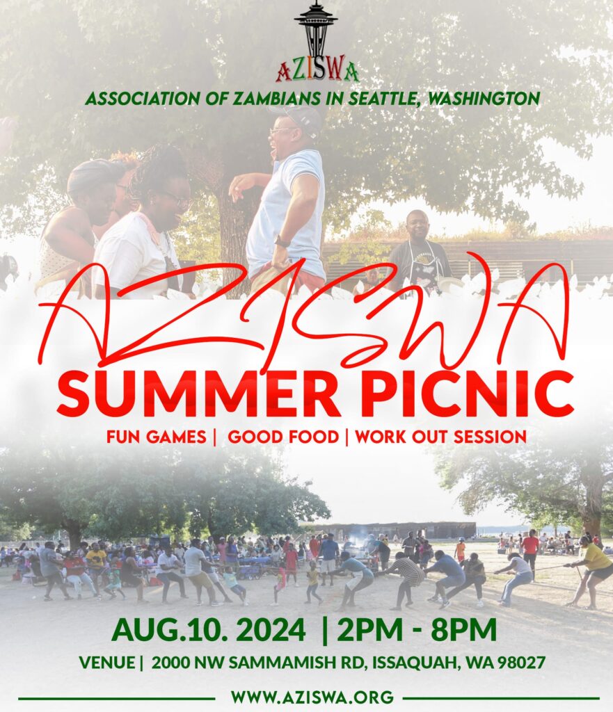 AZISWA Sammaer Picnic